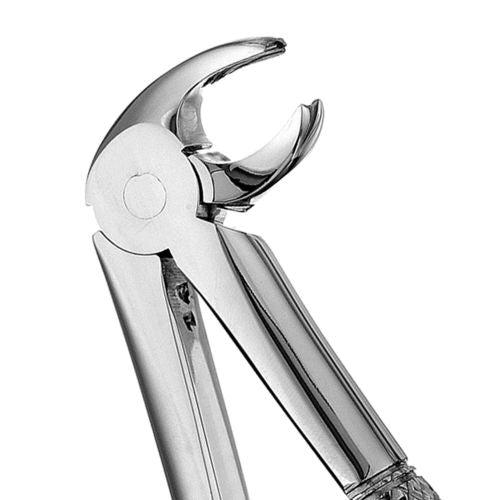 Hu-friedy_MD4 Mead Forceps, Serrated_Quintess-Denta