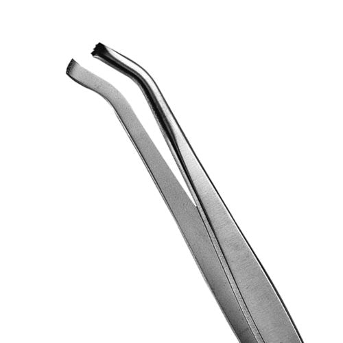 Hu-friedy_16 Tissue Pliers_Quintess-Denta