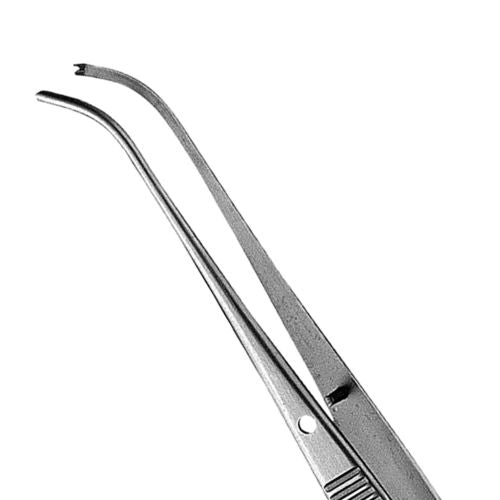 Hu-friedy_1X2 Curved Kramer-Nevins Tissue Pliers_Quintess-Denta